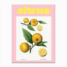 Citrus Canvas Print