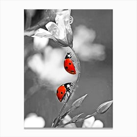 Ladybugs On A Flower Canvas Print