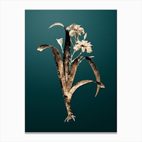 Gold Botanical Iris Fimbriata on Dark Teal n.0154 Canvas Print