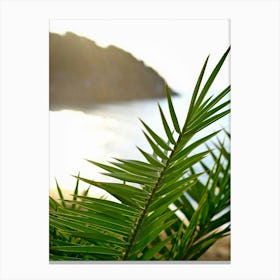 Palm Leaf at The Beach // Ibiza Nature & Travel Photography Canvas Print