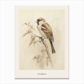 Vintage Bird Drawing Sparrow 2 Poster Canvas Print