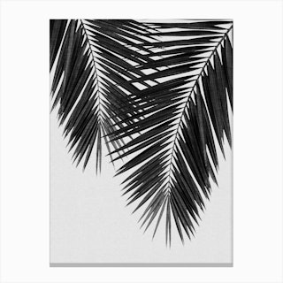 Palm Leaf Black & White II Canvas Print