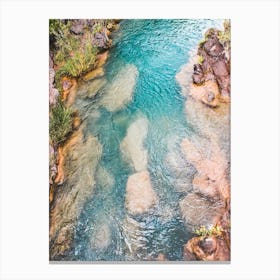 Turquoise River Canvas Print