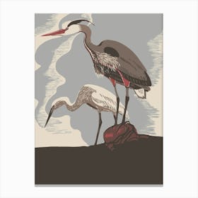 Herons 2 Canvas Print