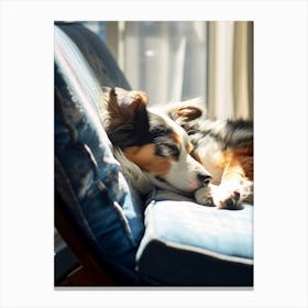 Dog Sleeping On A Chair Canvas Print