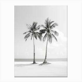 Two Palm Trees On The Beach Canvas Print