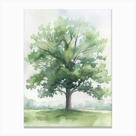 Oak Tree Atmospheric Watercolour Painting 10 Canvas Print