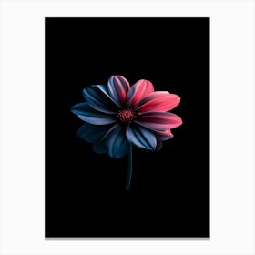 Flower On A Black Background 1 Canvas Print