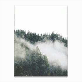 Misty Forest 1 Canvas Print