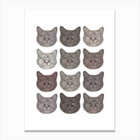 Cute Grey Cats Canvas Print
