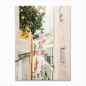 Lisbon Lemon Tree Street Canvas Print