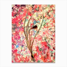 Impressionist Daffodil Botanical Painting in Blush Pink and Gold Canvas Print