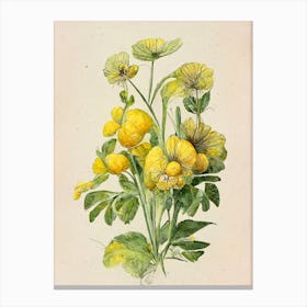 Yellow Flowers Farmhouse Botanical Vintage Canvas Print