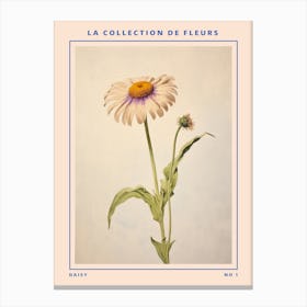 Daisy French Flower Botanical Poster Canvas Print