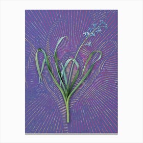 Vintage Dutch Hyacinth Botanical Illustration on Veri Peri Canvas Print