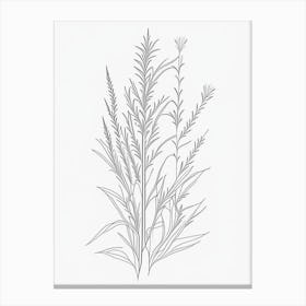 White Willow Herb William Morris Inspired Line Drawing Canvas Print