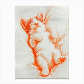 Kitty Sleeping Canvas Print