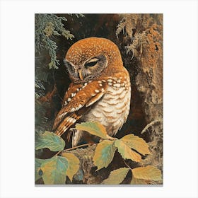 Northern Pygmy Owl Relief Illustration 2 Canvas Print
