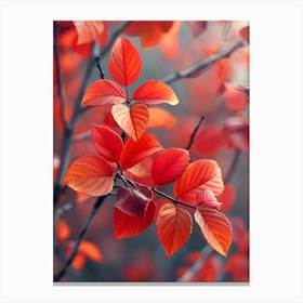 Autumn Leaves 3 Canvas Print