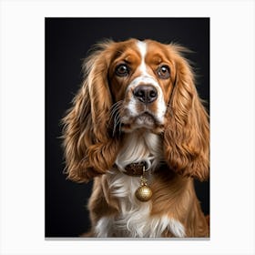 Golden And White English Cocker Spaniel Fluff Surrounding Soft Happy Gaze Purebred Demeanor Sitti (1) 2 1 Leinwandbild