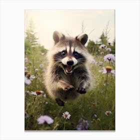 Cute Funny Common Raccoon Running On A Field Wild 4 Canvas Print