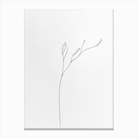 Line Drawing Of A Leaf 33 Canvas Print