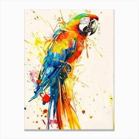 Parrot Colourful Watercolour 4 Canvas Print