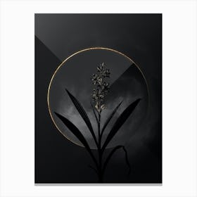 Shadowy Vintage Wachendorfia Thyrsiflora Botanical in Black and Gold n.0102 Canvas Print