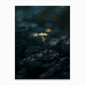 Flower On A Rock 2 Canvas Print