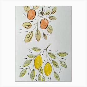 Lemons And Oranges Canvas Print