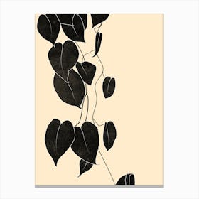 Philodendron Plant Canvas Print