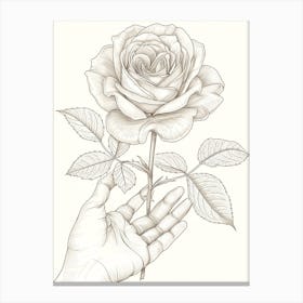 Rose In A Hand Line Drawing 2 Canvas Print