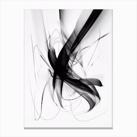 Abstract Black And White Painting Canvas Print