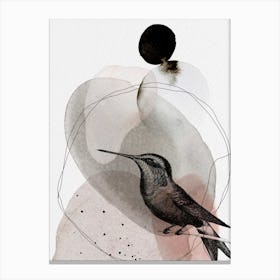 Feathered Friends Hummingbird Brown & Pink Canvas Print