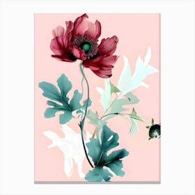 Anemone 6 Canvas Print