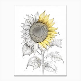 Sunflower Floral Quentin Blake Inspired Illustration 5 Flower Canvas Print