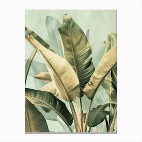 Banana Leaves 13 Canvas Print