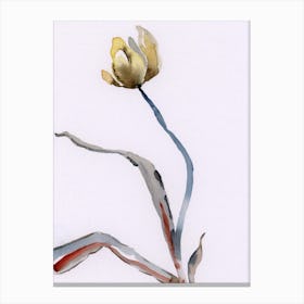 Withered Yellow Tulip Watercolor painting minimal minimalist flower floral white simple modern timeless abstract  Canvas Print