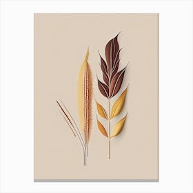 Corn Silk Spices And Herbs Retro Minimal 4 Canvas Print