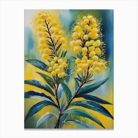 Australias National Flower Yellow Wattle Watercolor  Canvas Print