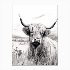 Black & White Illustration Of Highland Cow In Grass Canvas Print