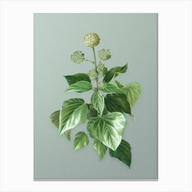 Vintage Common Ivy Botanical Art on Mint Green Canvas Print