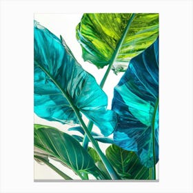 Tropical Leaves 128 Canvas Print