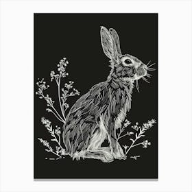 Himalayan Rabbit Minimalist Illustration 3 Canvas Print