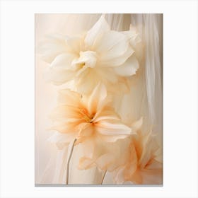 Boho Dried Flowers Daffodil 5 Canvas Print