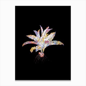 Stained Glass Kaempferia Angustifolia Mosaic Botanical Illustration on Black n.0056 Canvas Print
