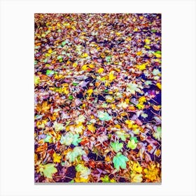 Carpet Of Fallen Leaves Canvas Print