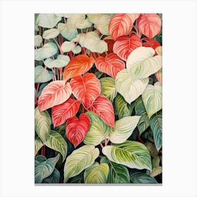 Tropical Plant Painting Fittonia White Anne Canvas Print