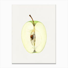 Apple Cut In Half Canvas Print