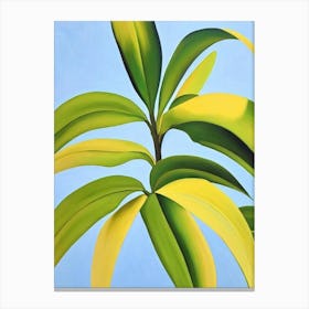 Dumb Cane Bold Graphic Plant Canvas Print